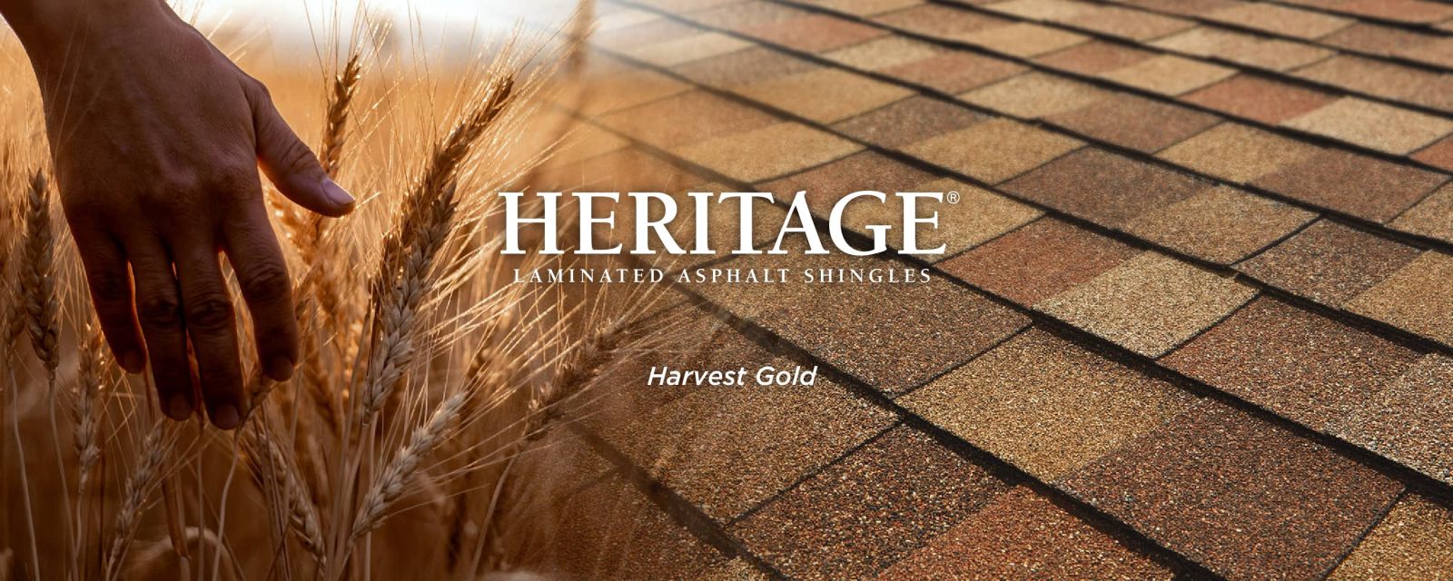 Quintero Roofing, LLC Images