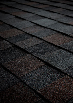 Quintero Roofing, LLC Images