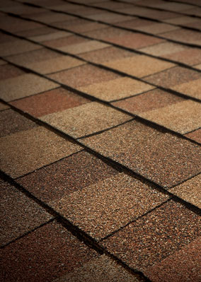 Quintero Roofing, LLC Images
