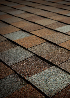 Quintero Roofing, LLC Images