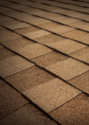 Quintero Roofing, LLC Images
