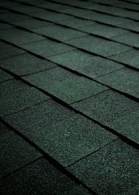 Quintero Roofing, LLC Images