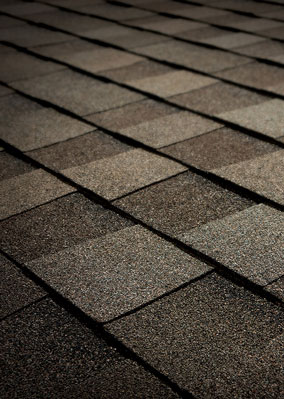 Quintero Roofing, LLC Images