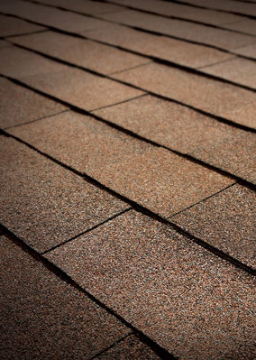 Quintero Roofing, LLC Images