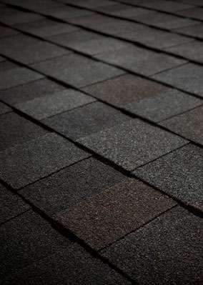 Quintero Roofing, LLC Images